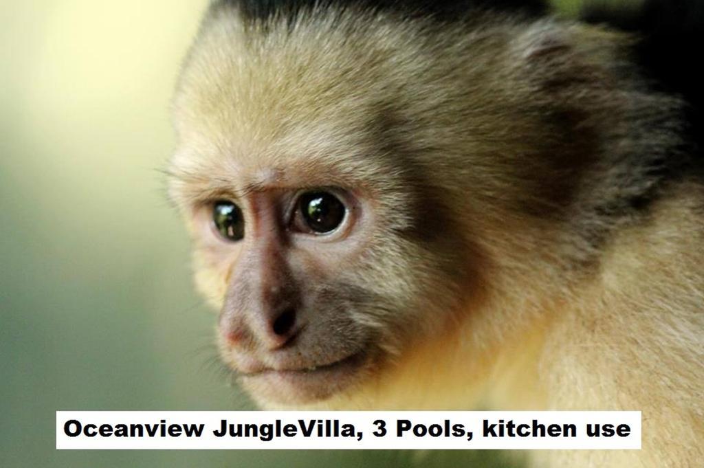 Jungle Villa Manuel Antonio Exterior photo